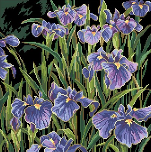 (image for) Irises